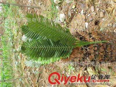 树枝 仿真小树植物野生草工程装饰园林绿化仿真撅树义乌工厂批发小盆栽-义乌市创钜电子商务商行提供树枝 仿真小树植物野生草工程装饰园林绿化仿真撅树义乌工厂批发小盆栽的相关介绍、产品、服务、图片、价格义乌市创钜电子商务商行、仿真植物;仿真水果;仿真花;仿真草坪;婚庆节庆用品;仿真藤条盆栽